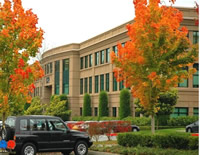 應(yīng)用于露天停車坪美國(guó)紅楓景觀